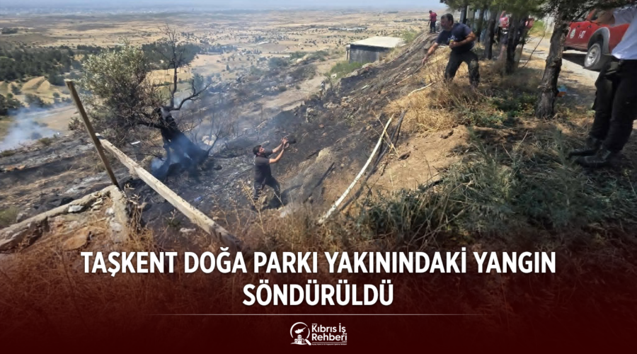Taşkent Doğa Parkı Yakınlarında Yangın: Yaklaşık 3 Dönüm Alan Zarar Gördü